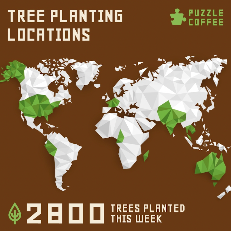 We have just planted 2800 trees!